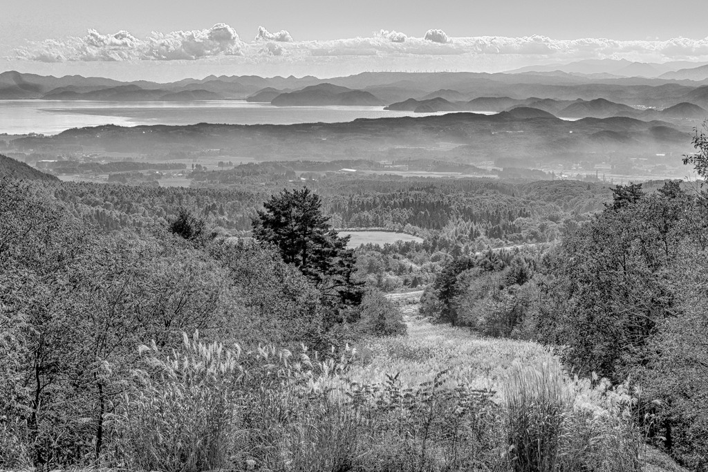 すすきのゲレンデ（モノクロ）