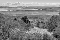 すすきのゲレンデ（モノクロ）