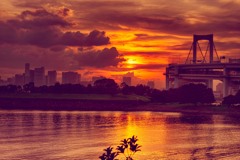 雲と夕日
