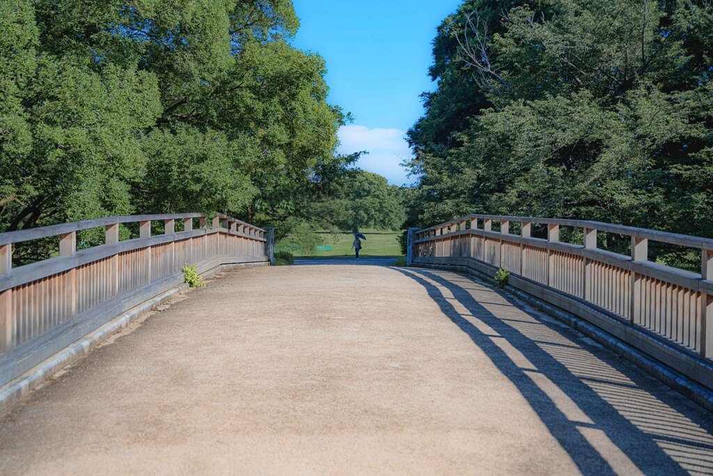 晴れた日の公園