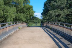 晴れた日の公園