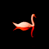 彦根城の白鳥