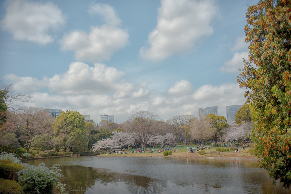 北の丸公園　春うらら