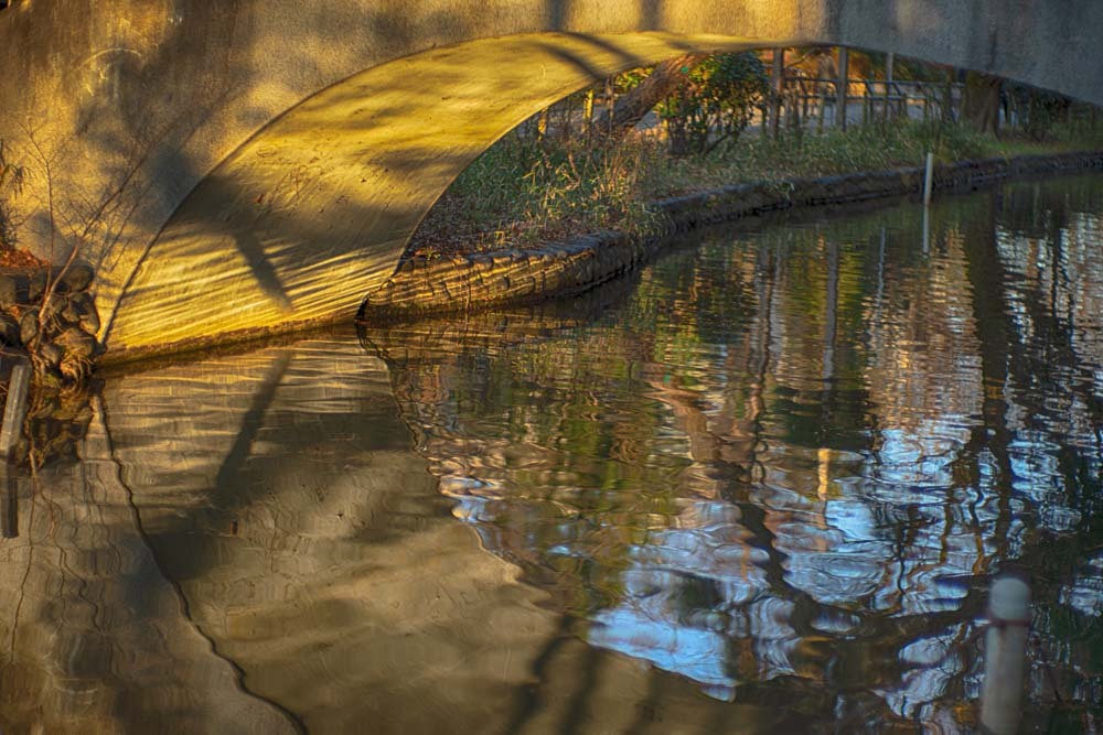 夕日に照らされた公園の橋