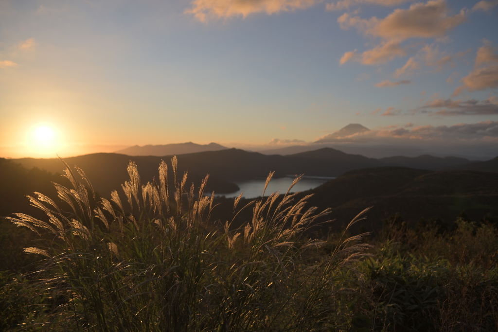 夕景　富士とススキ　Z7　Zeiss