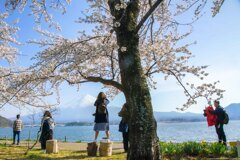 思いっきり富士山を撮る