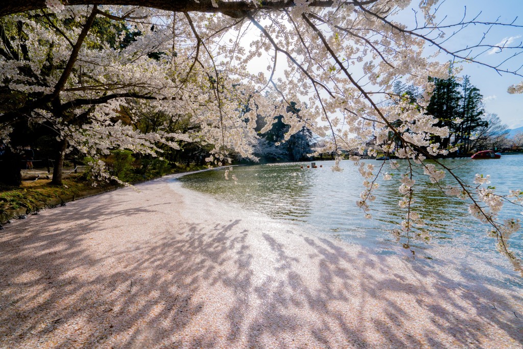 長野　臥竜公園