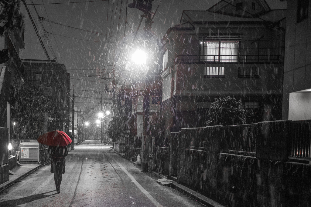 雪の日