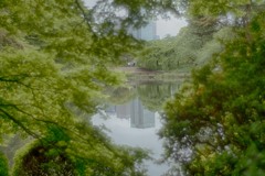 御苑去年