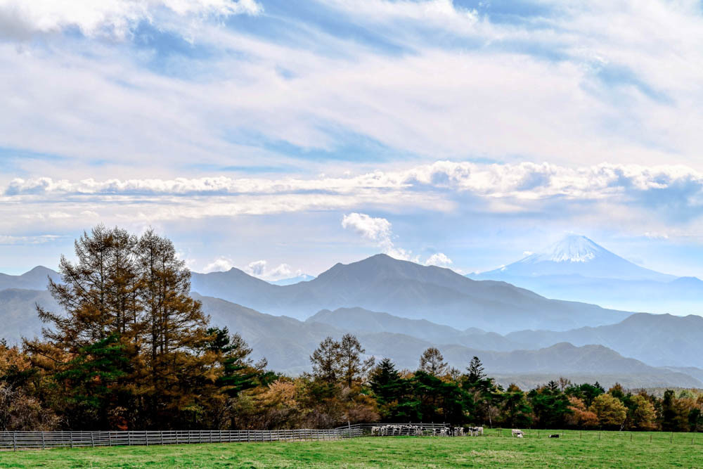 牧場と富士山