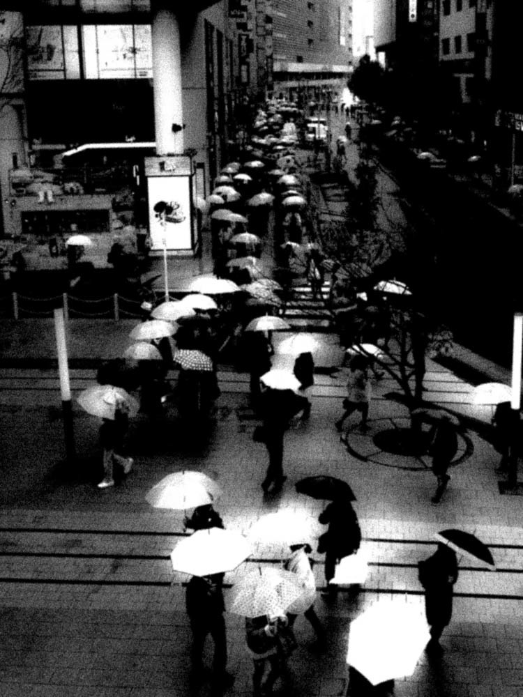 Street 新宿　傘