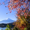 河口湖　もみじトンネル