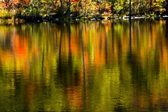 初秋の池