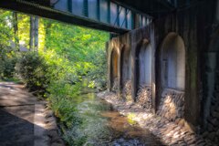 井の頭公園　線路の下