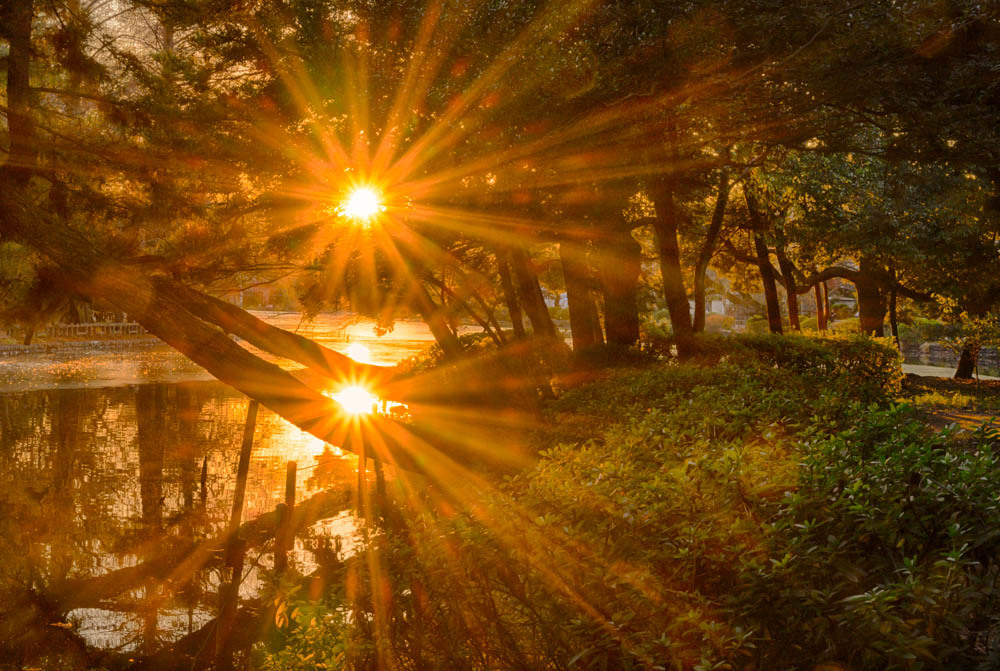 二つの太陽