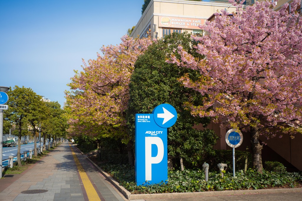 うぁ　誰もいない