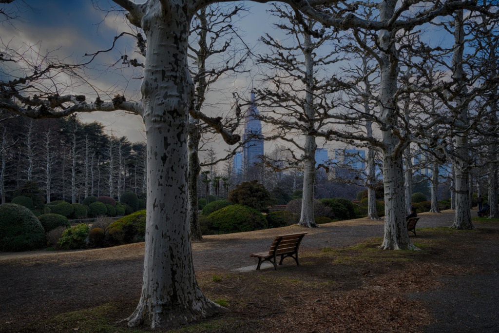 もう少しうまく撮れそう