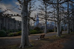 もう少しうまく撮れそう