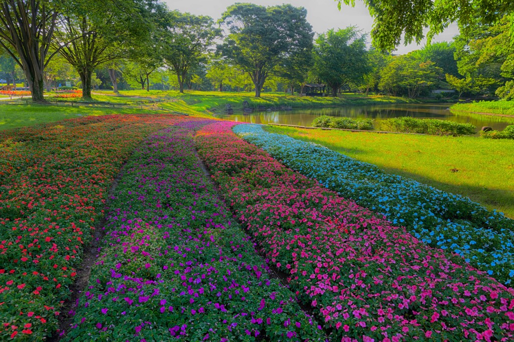 晴れた日は公園でも行こう