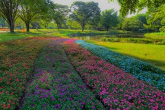 晴れた日は公園でも行こう