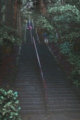 長い階段　戸隠神社（宝光社）