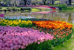 花は咲く