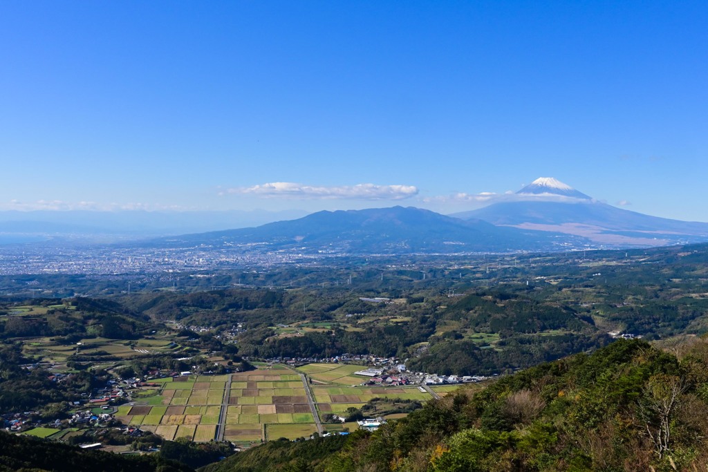 田園と富士山