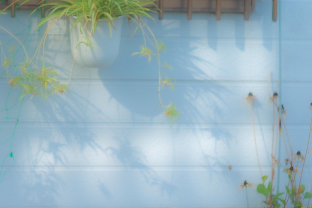 休日の昼下がり風