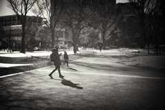 公園の親子