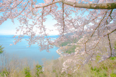 こんな日は（琵琶湖の思い出）