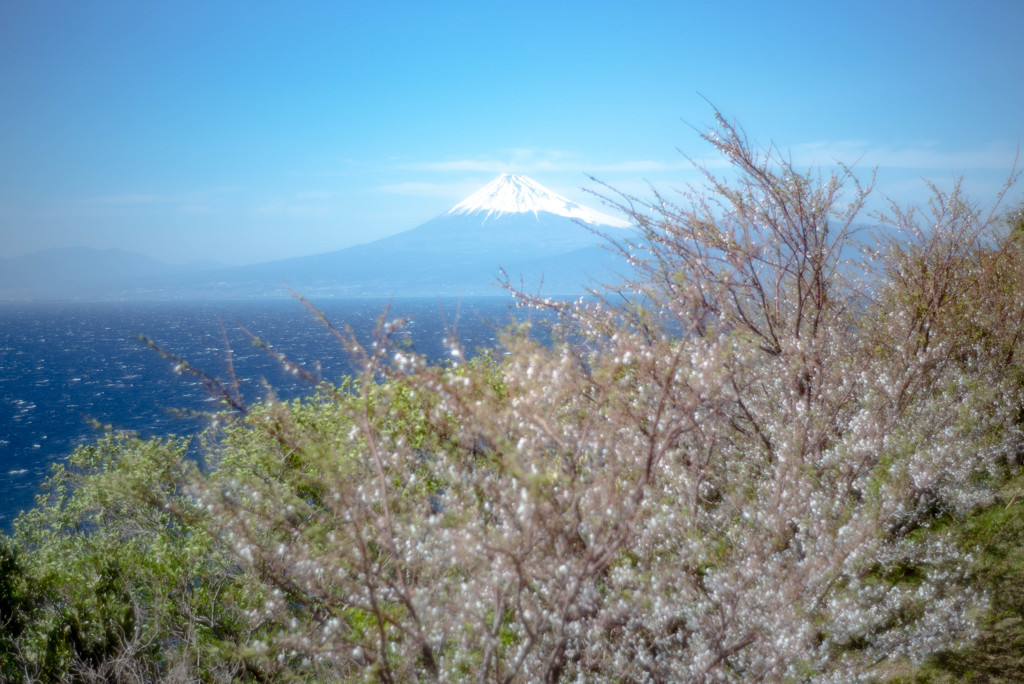 オールドレンズ
