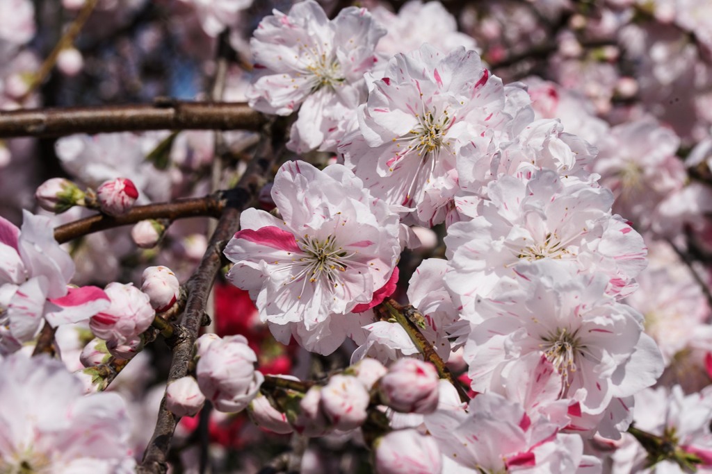 マクロの意味が。。