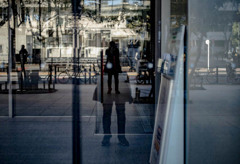 セルポ　みたいなもの