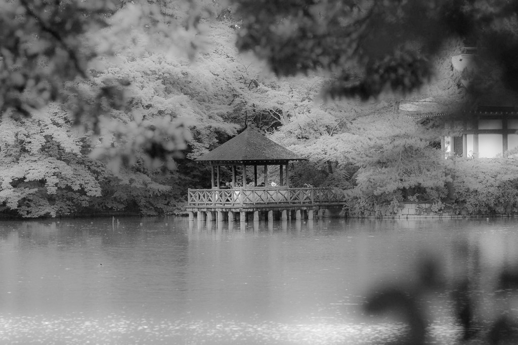 浮身堂　モノクロで