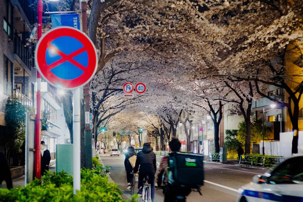 ウーバー桜
