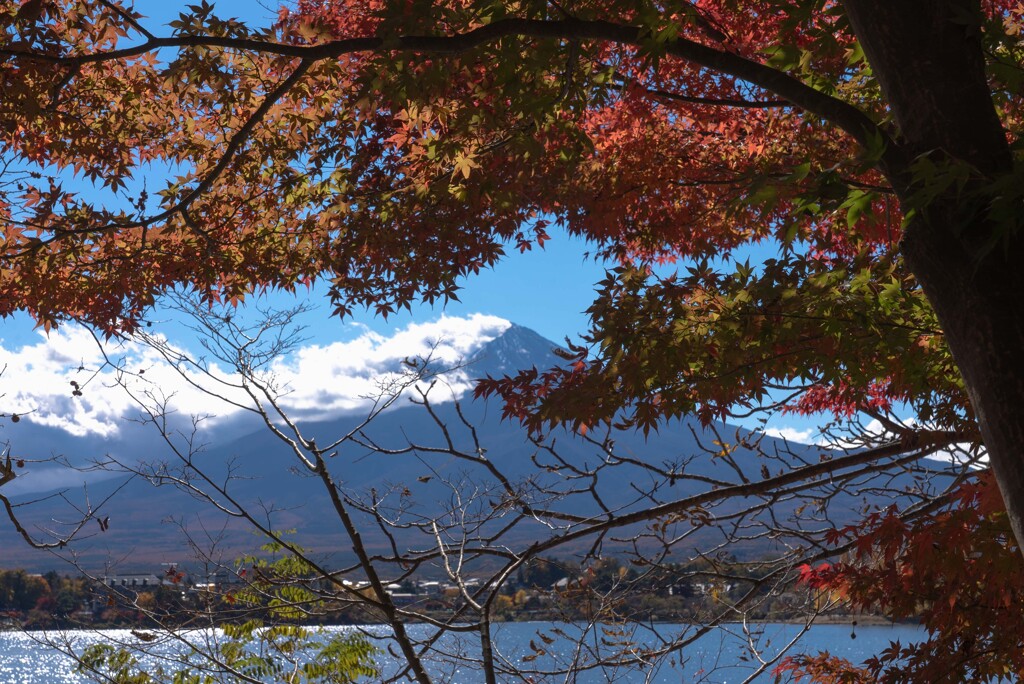 季節はずれになる前に