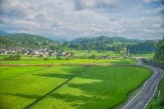 夏の記憶　緑の田園