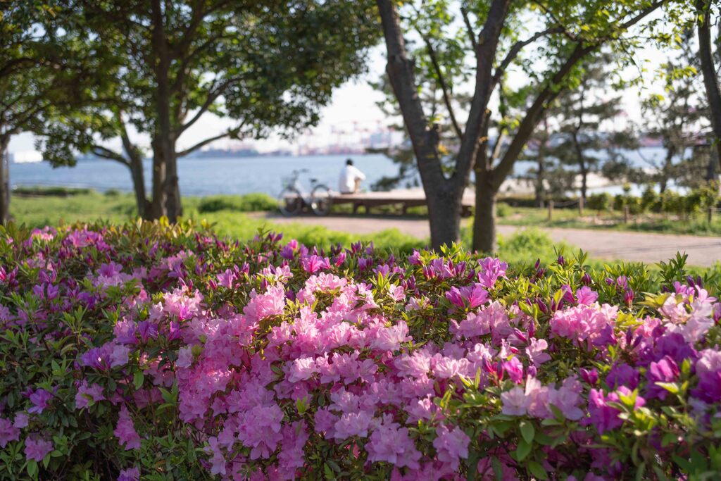 海を見ていた午後