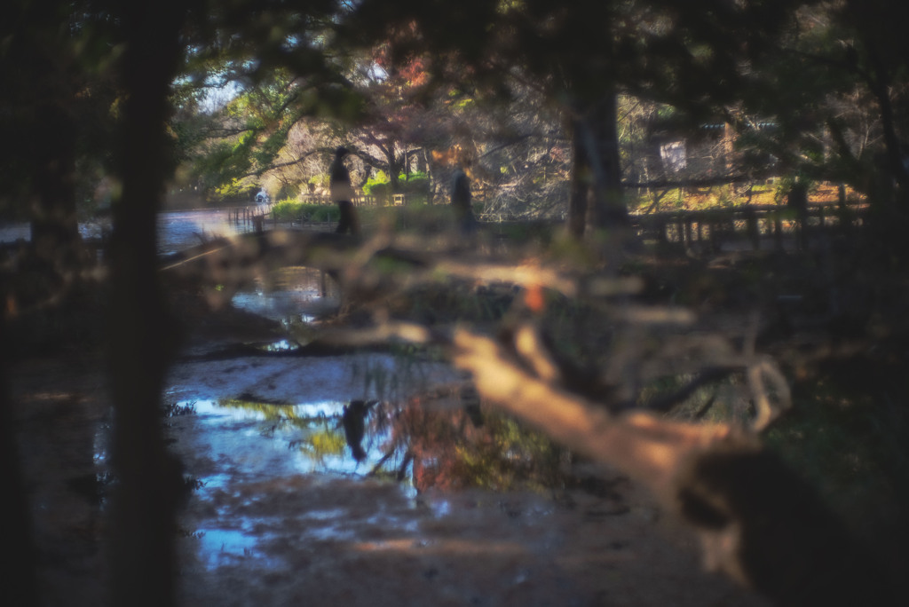 複雑気味な公園