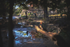 複雑気味な公園