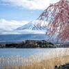 河口湖　大石公園