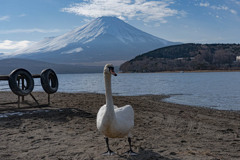 おっちゃん、何か食べ物ない？