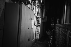 夜の街　新宿歌舞伎町