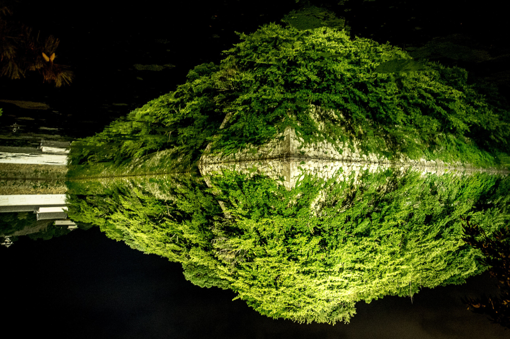 彦根城のお堀（逆さ）