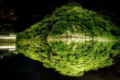 彦根城のお堀（逆さ）