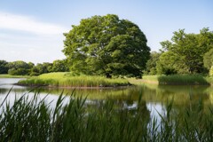 来てよかった　昭和記念公園