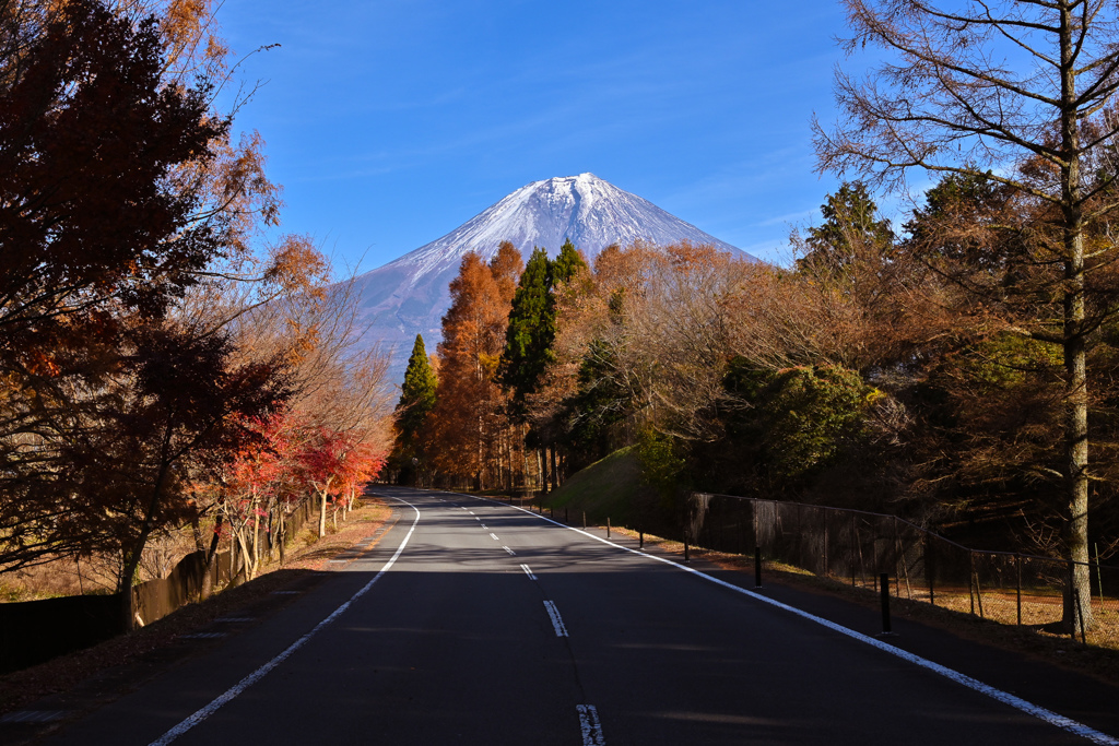 田貫の富士