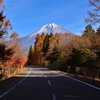 田貫の富士