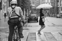 梅雨は美女も走る