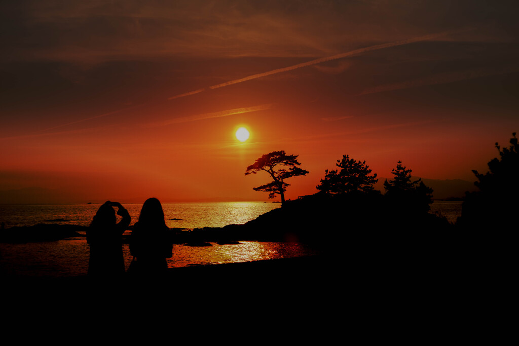 夕日